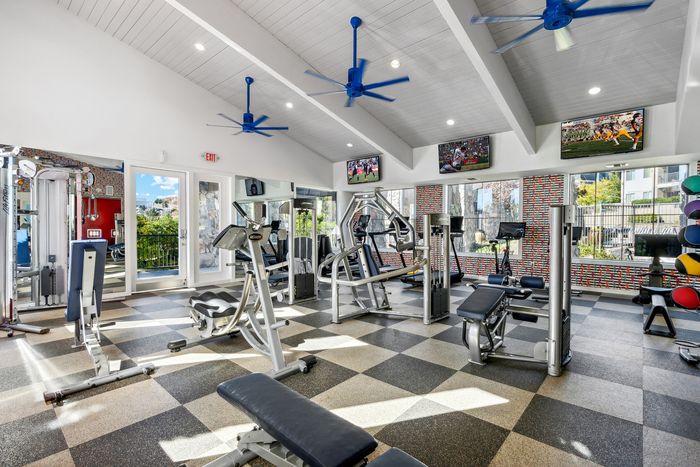 gym