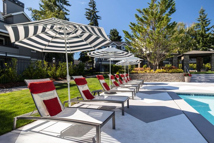 Lounge chairs by the pool