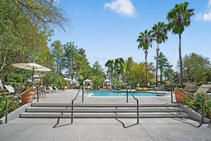 Pool and Lounge Area