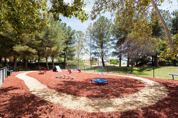 Apartment Playground