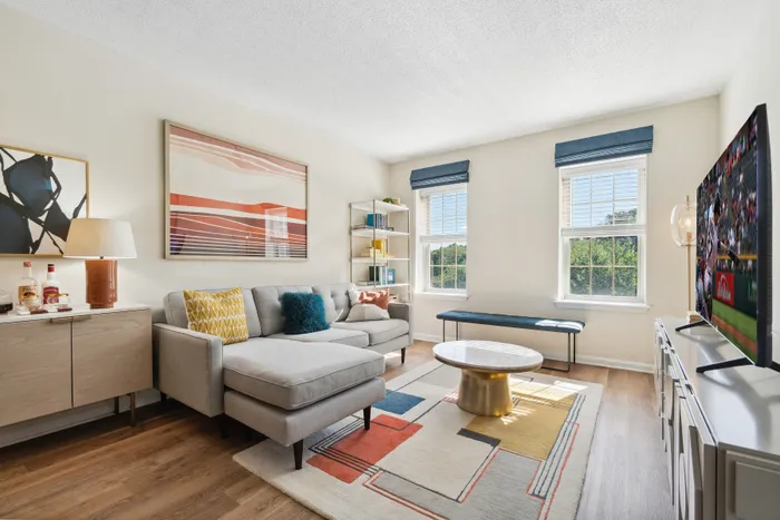 one bedroom living room