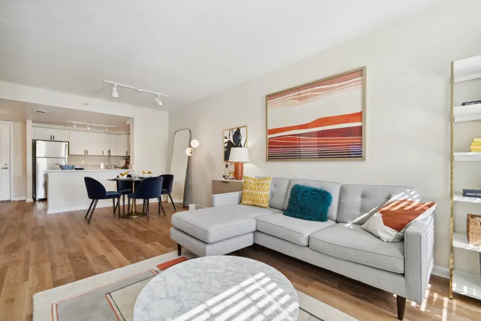 one bedroom living room