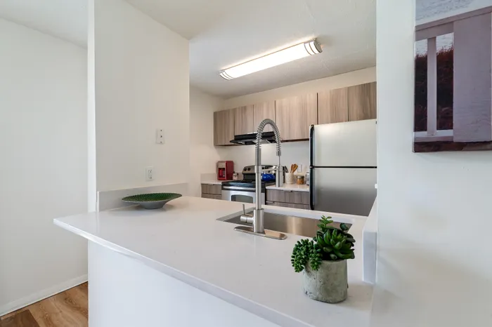 Be the first to live in our Newly Renovated Kitchens!