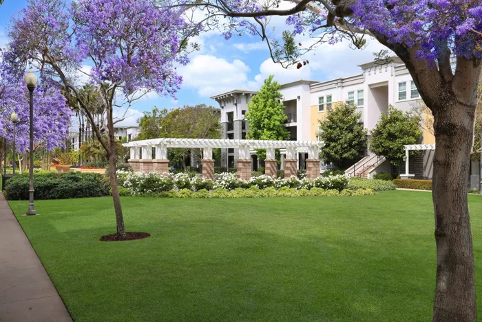 Landscaping with Trees