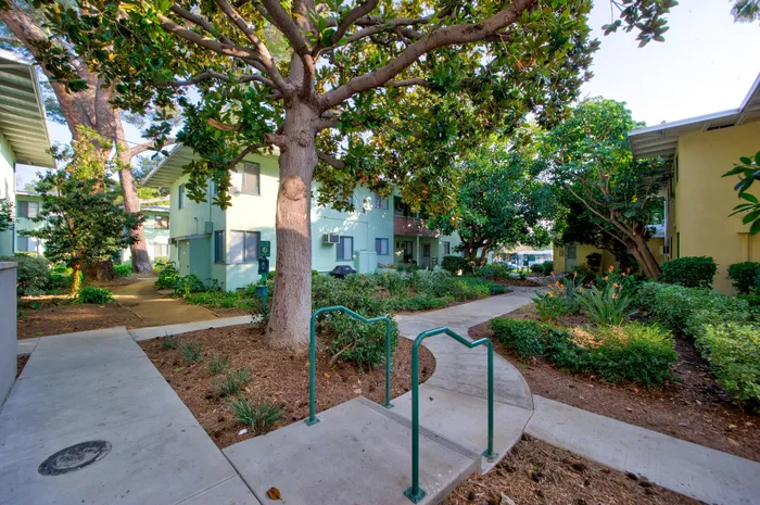 serene landscaping