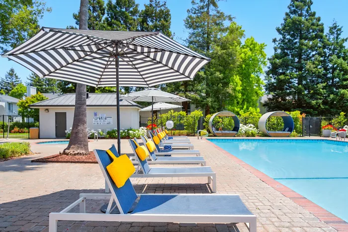 sparkling pool and lounge chairs