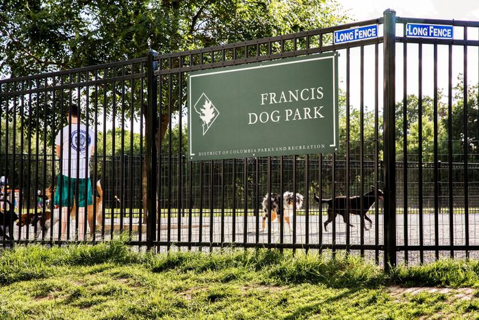 neighborhood dog park
