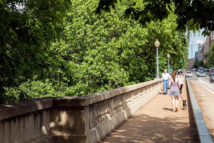 neighborhood walking trail