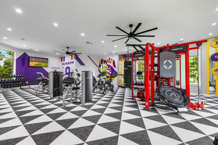 gym and red equipment