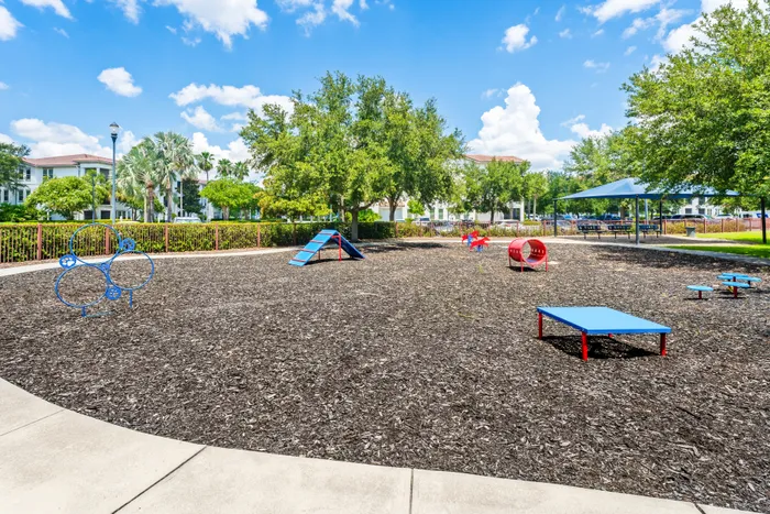 pet park with obstacle course
