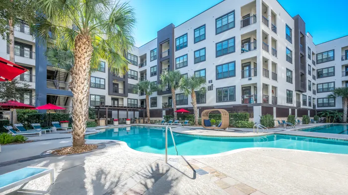 pool with palm trees