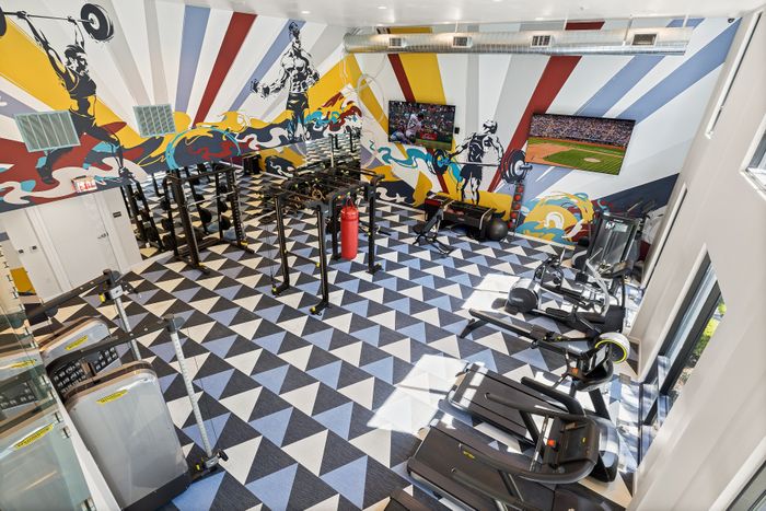 ultra big state of the art fitness center