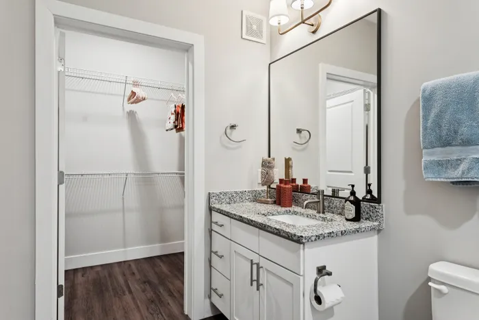 Modern bathroom featuring a granite countertop and a spacious walk-in closet with hardwood floors.