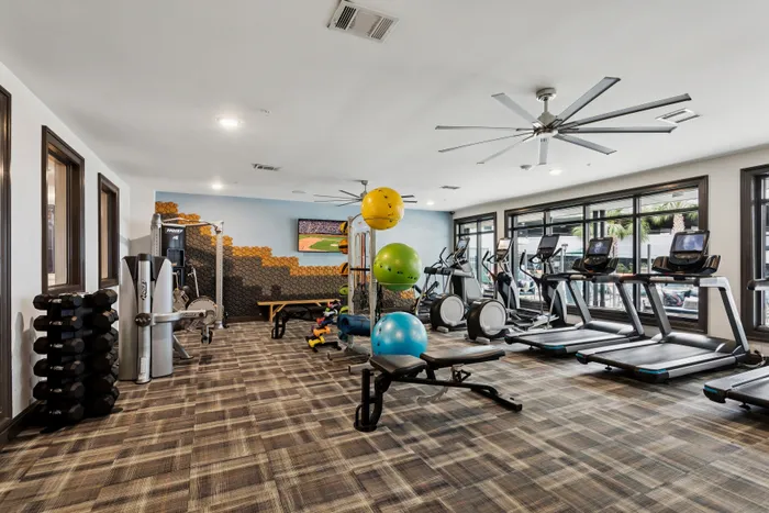 Modern fitness center with state-of-the-art exercise equipment, vibrant workout balls, and large windows for natural light.