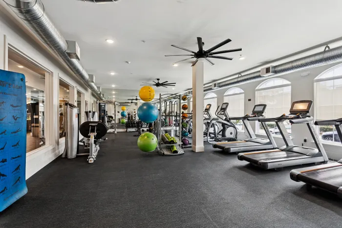 Modern fitness center with state-of-the-art treadmills, exercise balls, and weight training equipment in a bright, spacious setting.