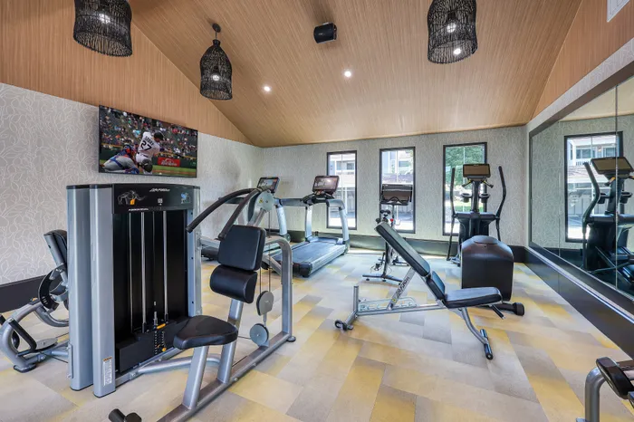 Modern fitness center with top-of-the-line exercise equipment, including cardio machines, strength training stations, and a wall-mounted TV, in a stylish and spacious setting.