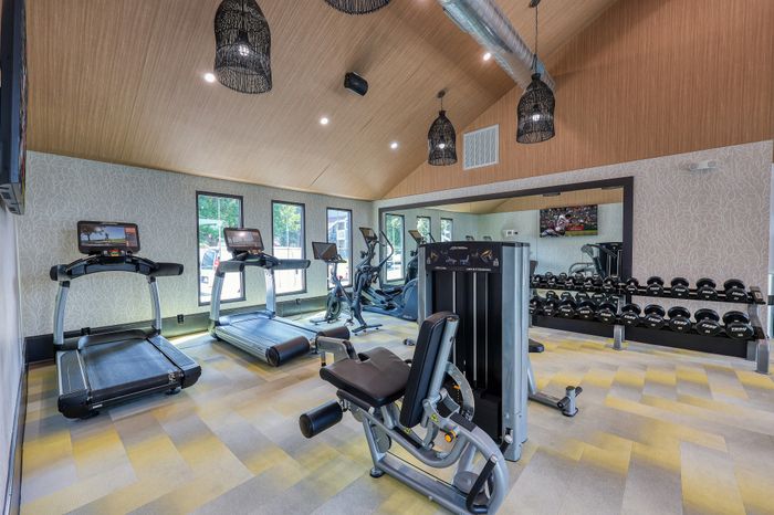 Modern fitness center with state-of-the-art treadmills, weight machines, and a full rack of dumbbells in a stylish, well-lit space.