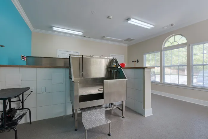 Modern apartment grooming area with stylish pet wash station and bright, inviting natural light.