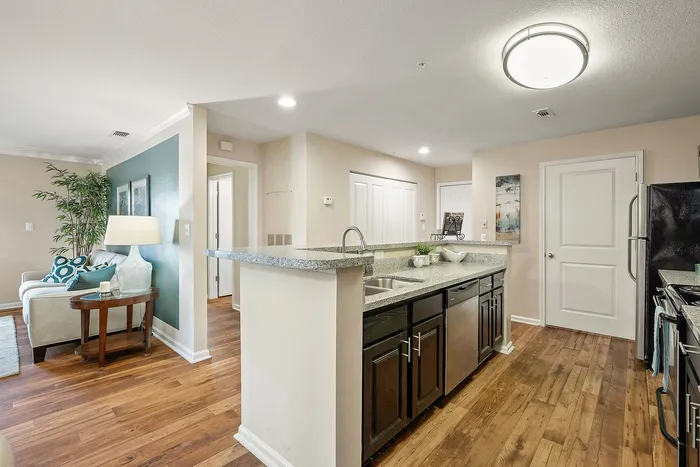 Contemporary apartment interior showcasing a stylish kitchen with granite countertops, elegant wood flooring, and a cozy living area adorned with chic decor.