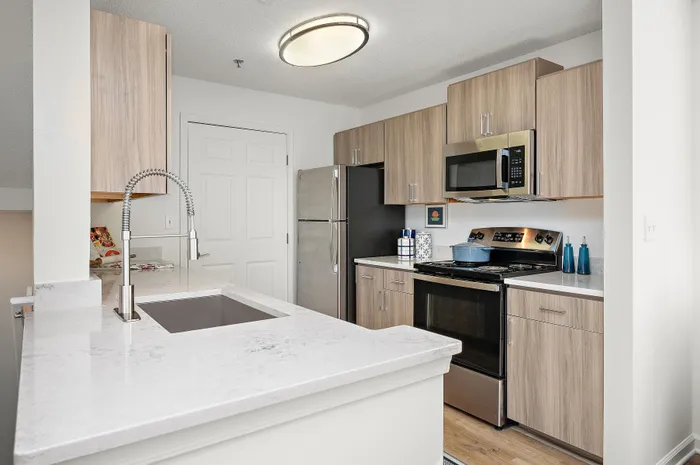 Modern kitchen with sleek stainless steel appliances, elegant marble countertops, and stylish wood cabinetry, offering a sophisticated and functional culinary space.