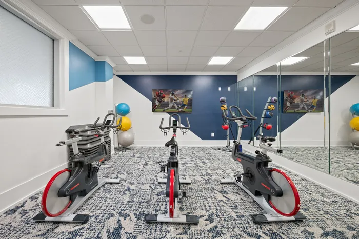 Inviting apartment gym featuring modern exercise bikes, vibrant exercise balls, and a stylish blue and white decor.