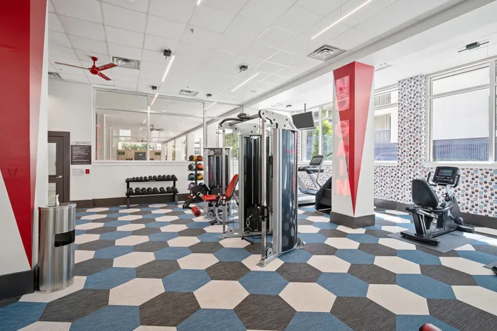 Modern fitness center with vibrant geometric flooring, state-of-the-art gym equipment, and large windows for natural light.
