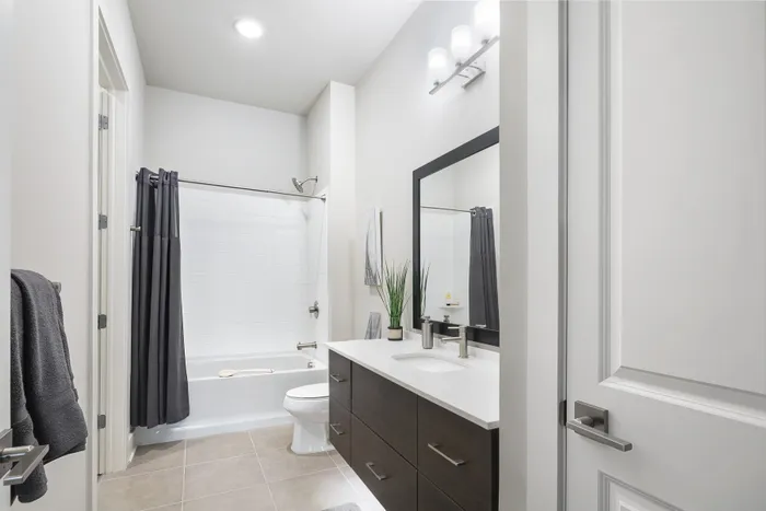 Elegant bathroom featuring a modern vanity, sleek fixtures, and a relaxing bathtub with a stylish curtain.