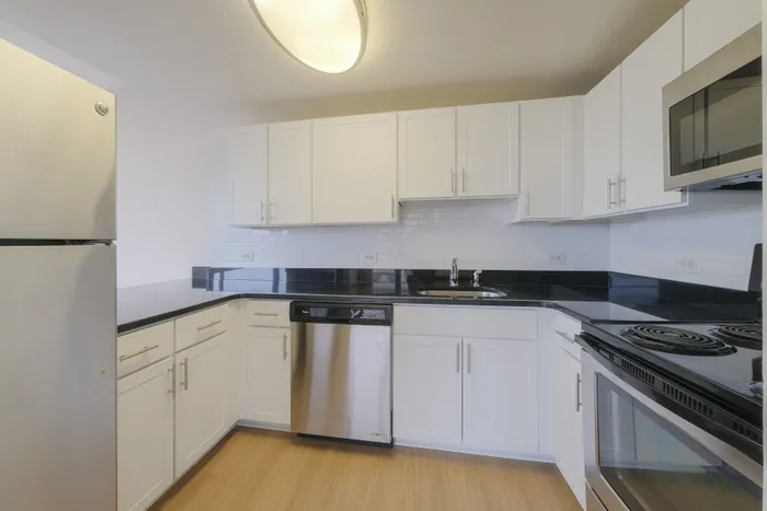 Elegant modern kitchen with sleek white cabinets, stainless steel appliances, and polished black countertops offering a sophisticated and functional space.