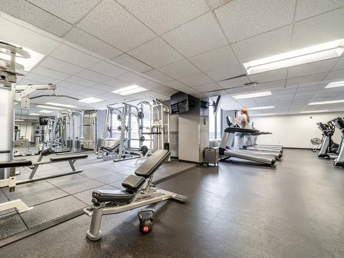 Bright and spacious gym with modern exercise equipment, including treadmills and weight machines, perfect for a healthy lifestyle.