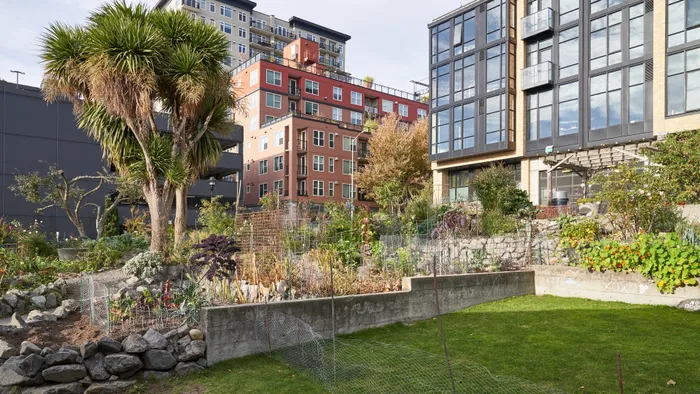 Charming residential garden with lush greenery and vibrant plants, framed by modern apartment buildings in the background.