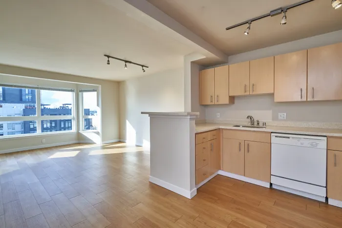 Modern open-plan apartment with natural wood flooring, sleek kitchen cabinetry, and expansive windows offering city views.
