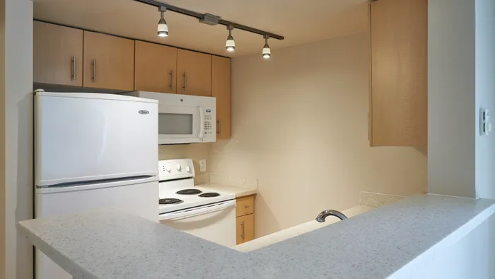 Contemporary kitchen with modern appliances, featuring sleek cabinetry and elegant lighting, perfect for culinary creations.
