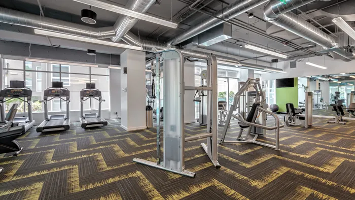 Modern gym with state-of-the-art equipment, bright natural light, and sleek industrial design for an invigorating workout experience.
