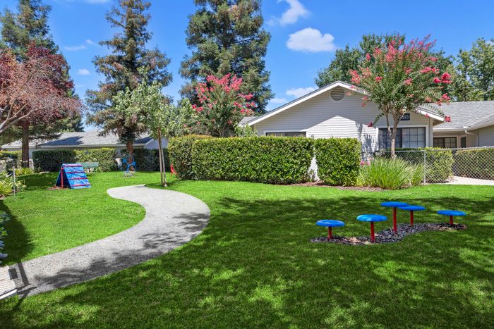 Charming garden view with vibrant green lawn, mature trees, and a playful, colorful playset in a serene residential setting.