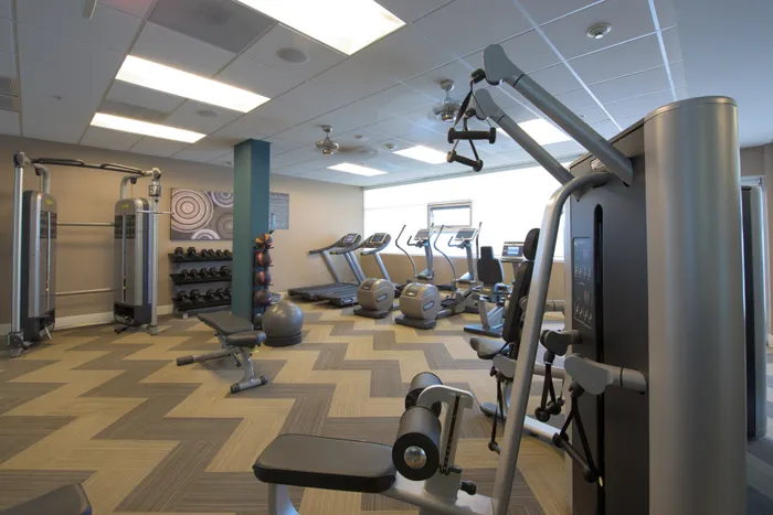 Modern and inviting gym space featuring state-of-the-art fitness equipment, treadmills, and free weights in a well-lit, stylish environment.