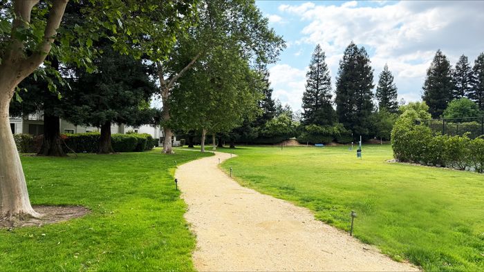 park pathway