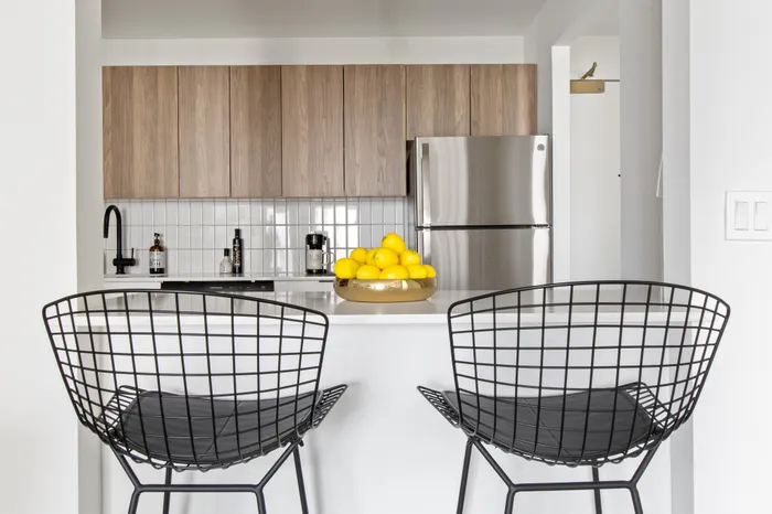 1250 LaSalle - Modern Kitchen