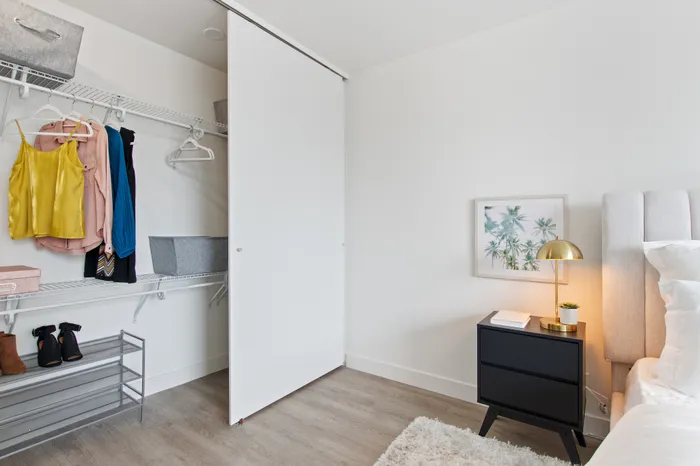 1250 LaSalle - Bedroom Closet