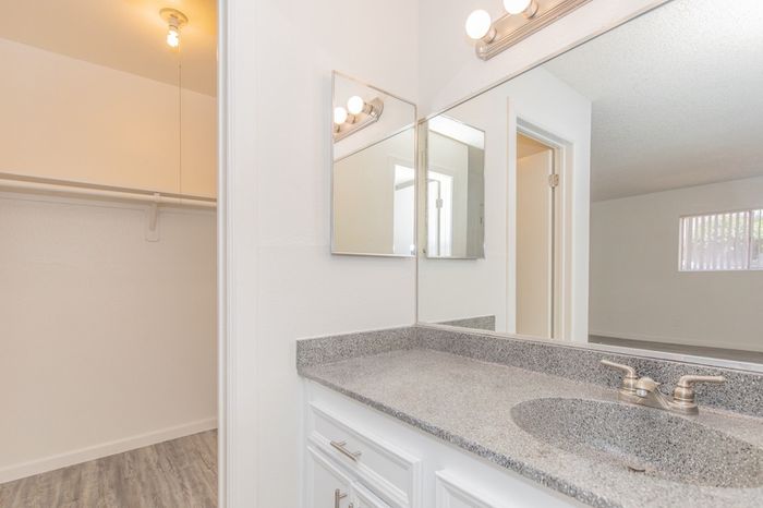Rise at Dobson Ranch Apartments