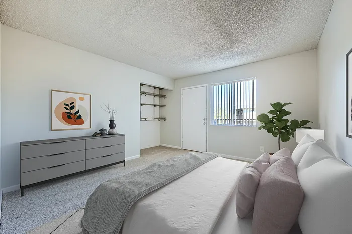 C1 Reno