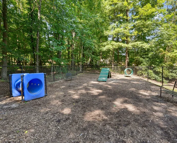 Rise Chapel Hill Amenities