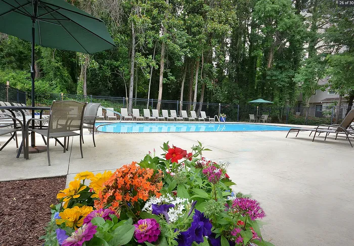 Community & Amenities