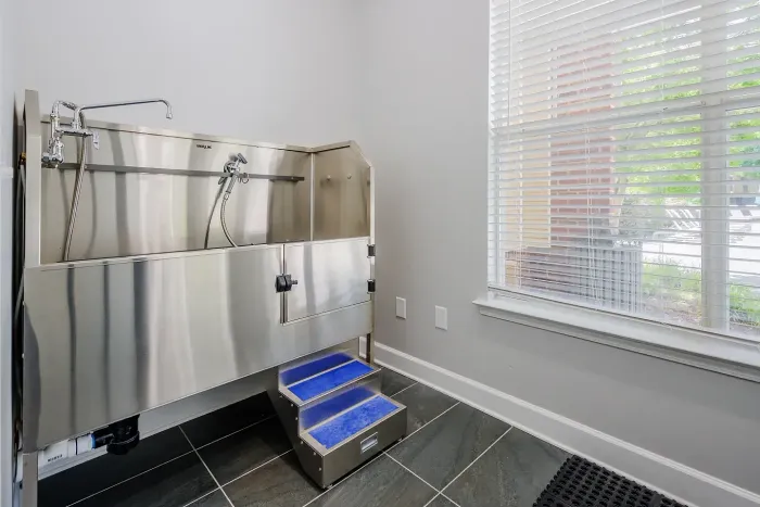Rise Avalon Amenities
