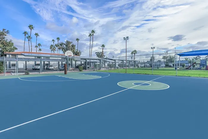 Basketball Court