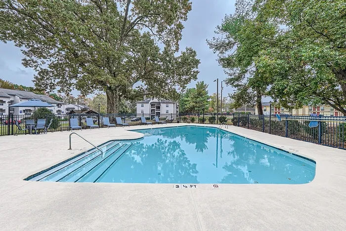 Sparkling Swimming Pool
