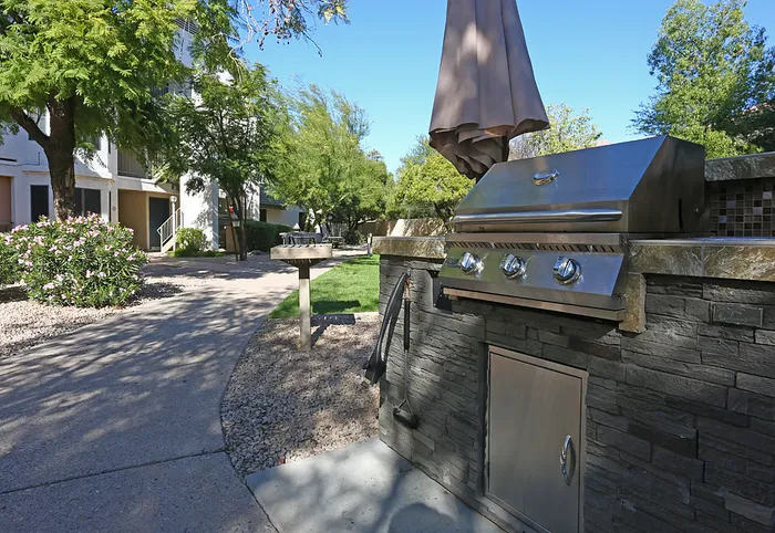 BBQ grills