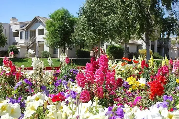 Well-Maintained Landscaping