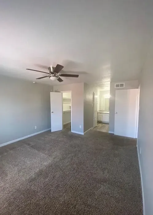 Ashford Santa Cruz Interior