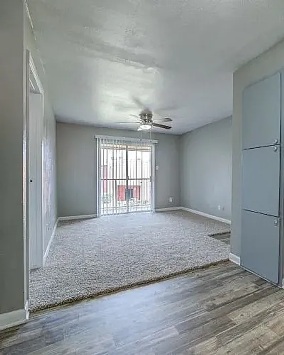 Ashford Santa Cruz Interior