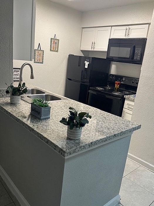Modern kitchen with sleek granite countertops, stylish black appliances, and decorative greenery accents.